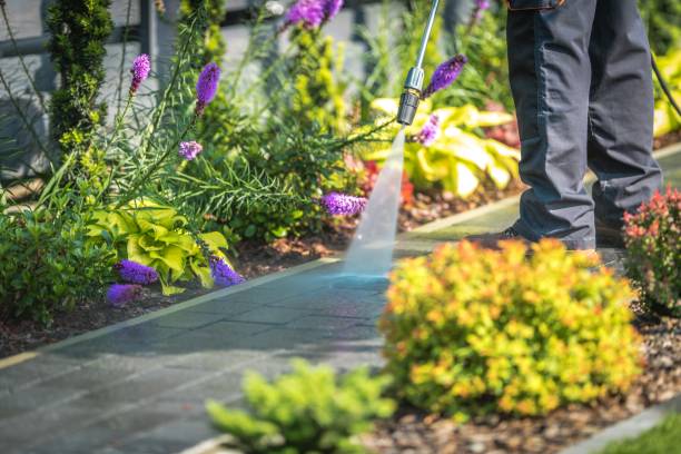Clay, AL Pressure Washing Services Company
