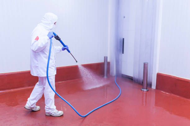 Best Driveway Cleaning and Restoration in Clay, AL