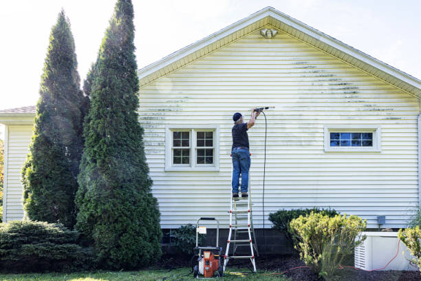 Best Window and Screen Pressure Cleaning in Clay, AL